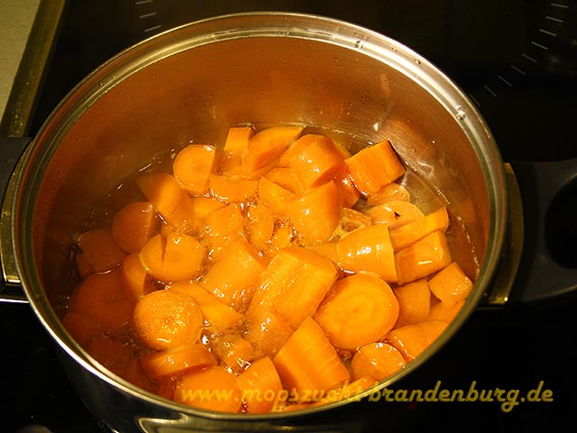Mops Morosche Karottensuppe-Karotten kochen